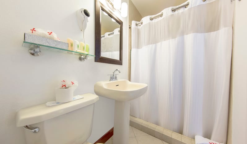 Tropical Waterfront Room